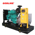 313kVA/250kw Open Type Cummins Diesel Generator with Ce/ISO